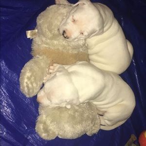 Meet your Posher, Xaviera